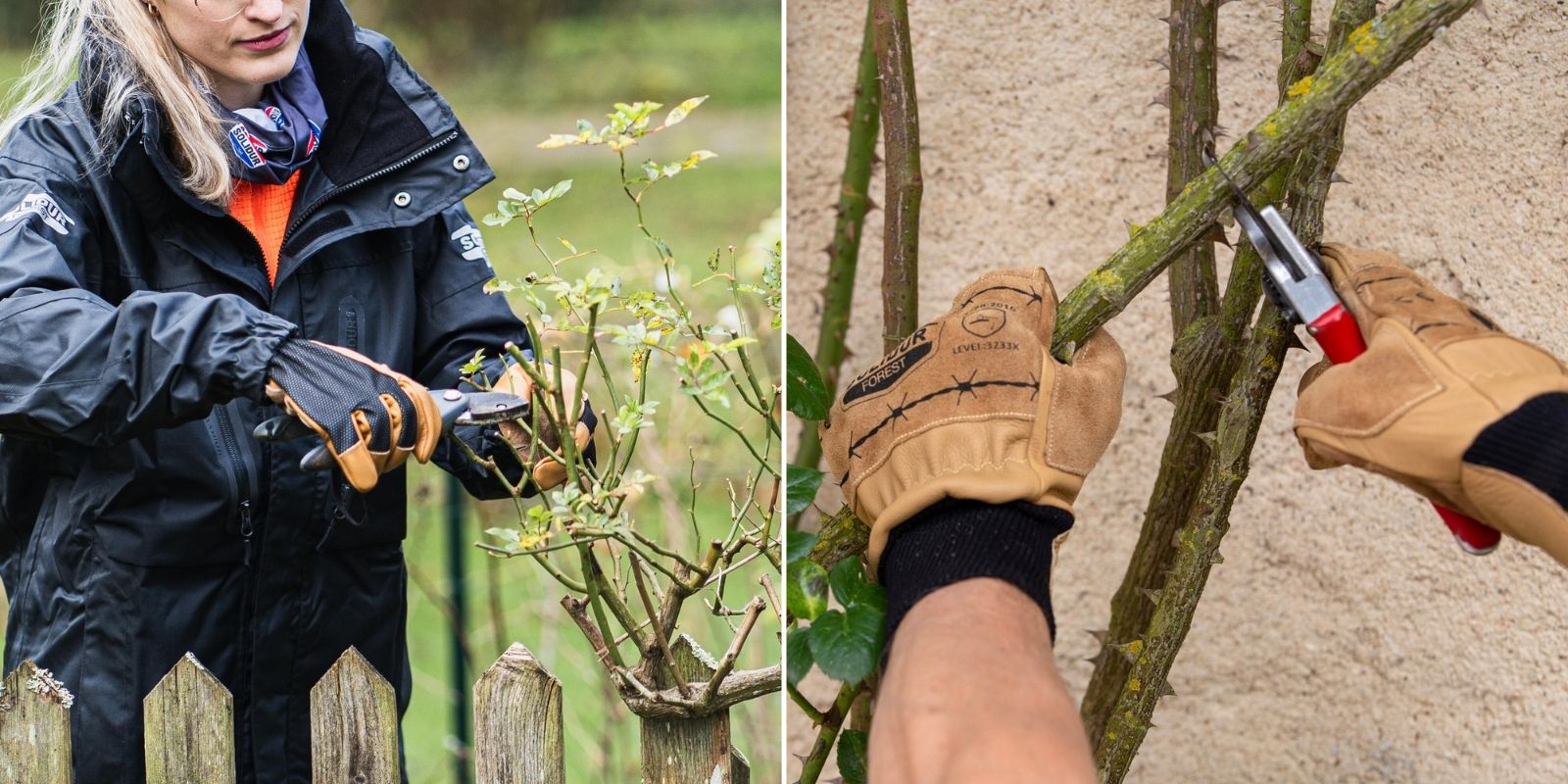 tailler les persistants